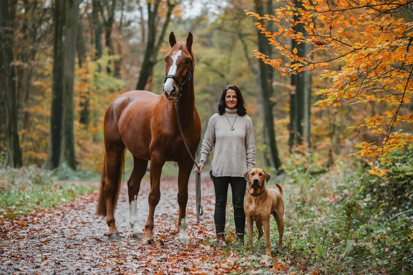 Frau mit einem Fuchspferd und einem braunen Hund auf einem laubbedeckten Waldweg zwischen herbstlich gefärbten Bäumen.